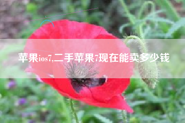 苹果ios7,二手苹果7现在能卖多少钱