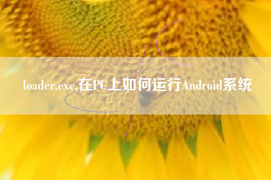 loader.exe,在PC上如何运行Android系统