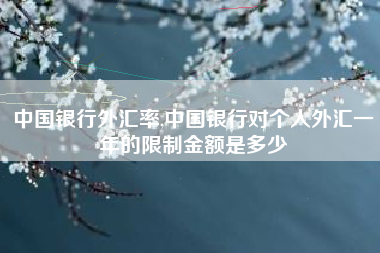 中国银行外汇率,中国银行对个人外汇一年的限制金额是多少