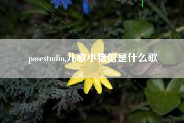 posestudio,儿歌小猪倌是什么歌