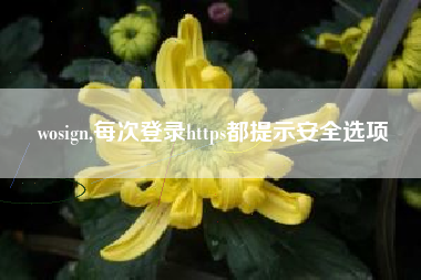 wosign,每次登录https都提示安全选项