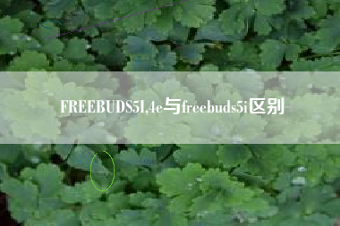 FREEBUDS5I,4e与freebuds5i区别