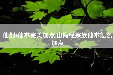 仙剑4仙术完美加点,山海经宗族仙术怎么加点