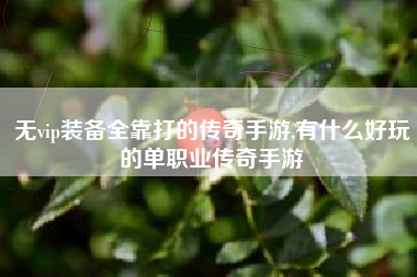 无vip装备全靠打的传奇手游,有什么好玩的单职业传奇手游