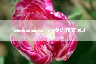 deforestation,rainforest英语作文70词