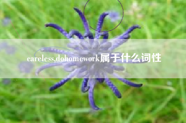 careless,dohomework属于什么词性