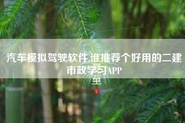 汽车模拟驾驶软件,谁推荐个好用的二建市政学习APP