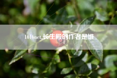 1616net,长生殿的作者是谁