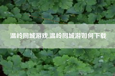 温岭同城游戏,温岭同城游如何下载