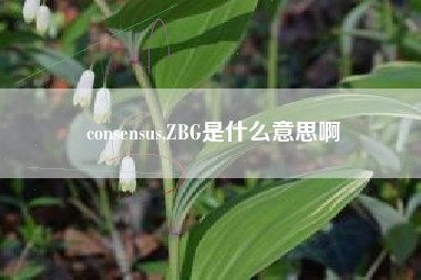 consensus,ZBG是什么意思啊