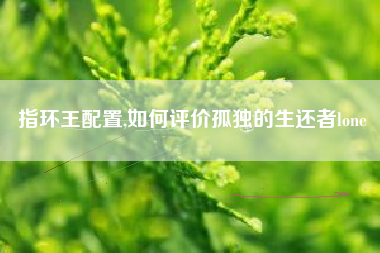 指环王配置,如何评价孤独的生还者lone