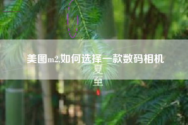 美图m2,如何选择一款数码相机