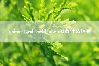 university,college和university有什么区别