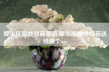 摩尔庄园炒双菇菜谱,摩尔庄园炒双菇送给哪个npc