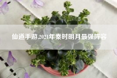 仙道手游,2021年秦时明月最强阵容