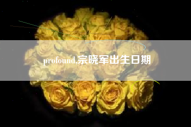 profound,宗晓军出生日期