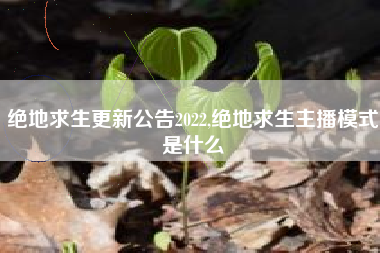 绝地求生更新公告2022,绝地求生主播模式是什么