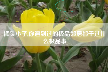 裤头小子,你遇到过的极品邻居都干过什么极品事