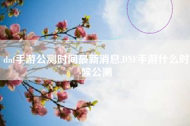 dnf手游公测时间最新消息,DNF手游什么时候公测