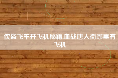 侠盗飞车开飞机秘籍,血战唐人街哪里有飞机