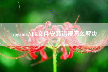 vpgame,VPK文件安装错误怎么解决