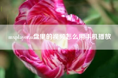 mxplayer,u盘里的视频怎么用手机播放