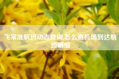 飞常准航班动态查询,怎么查机场到达航班明细