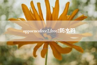 oppoencofree2,free2防水吗