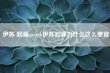 伊苏 起源,switch伊苏起源为什么这么便宜