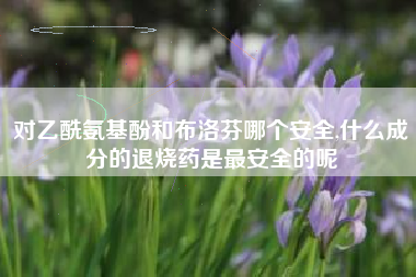 对乙酰氨基酚和布洛芬哪个安全,什么成分的退烧药是最安全的呢