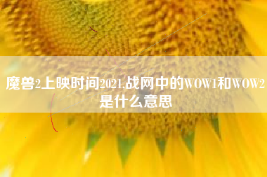 魔兽2上映时间2021,战网中的WOW1和WOW2是什么意思