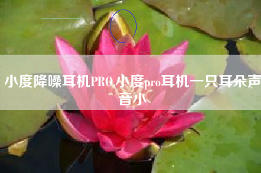 小度降噪耳机PRO,小度pro耳机一只耳朵声音小