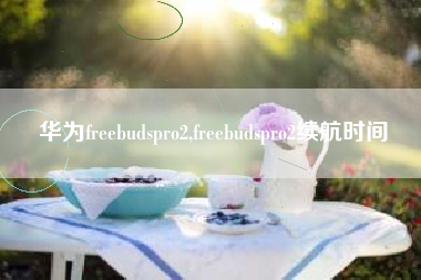 华为freebudspro2,freebudspro2续航时间