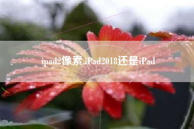 ipad2像素,iPad2018还是iPad